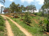 /album/fotos%20da%20casa%20de%20recupera%c3%a7%c3%a3o%2c%20internos%20e%20convidados%20/imagem-030-jpg1/